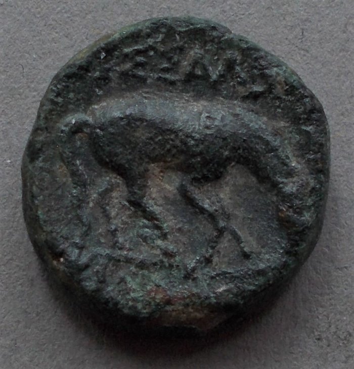 Post-Your-Coins-With-Horses